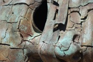 IMG_4765.jpeg