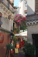 IMG_4920.jpeg