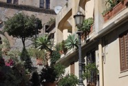 IMG_4922.jpeg