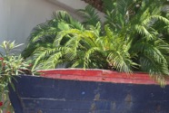 IMG_7591.jpeg