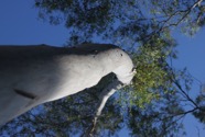 IMG_7799.jpeg