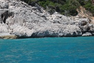 IMG_8135.jpeg