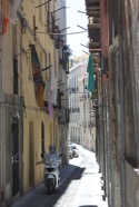 IMG_8350.jpeg