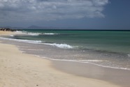 IMG_5945.jpeg