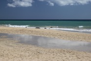IMG_5963.jpeg