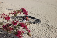 IMG_6158.jpeg