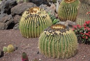 IMG_6319.jpeg