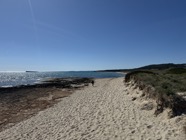IMG_1565.jpeg