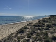 IMG_1576.jpeg