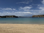 IMG_1598.jpeg