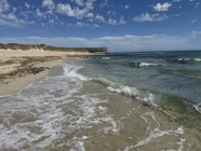 IMG_1599.jpeg