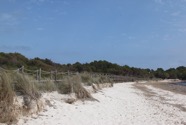 IMG_5147.jpeg