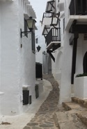 IMG_5256.jpeg