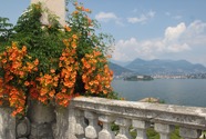 IMG_5671.jpeg