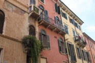 IMG_6088.jpeg