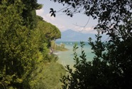 IMG_6191.jpeg