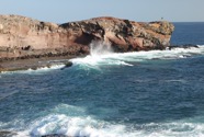 IMG_0056.jpeg