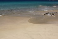 IMG_4421.jpeg