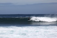 IMG_9587.jpeg