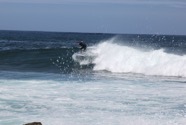 IMG_9646.jpeg