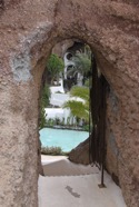 IMG_9815.jpeg
