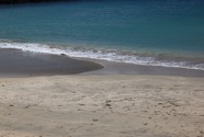 IMG_9858.jpeg