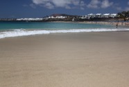 IMG_9914.jpeg