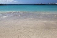 IMG_9935.jpeg