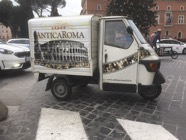 IMG_2866.jpeg