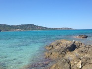IMG_1129.jpeg