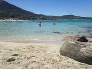 IMG_1131.jpeg