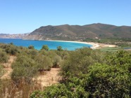 IMG_1134.jpeg
