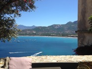 IMG_1142.jpeg