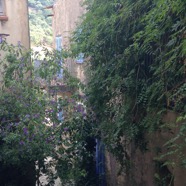 IMG_1188.jpeg