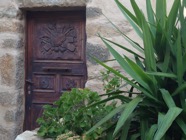 IMG_1195.jpeg
