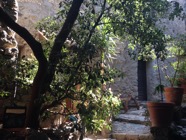 IMG_1218.jpeg