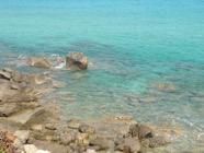 IMG_1238.jpeg