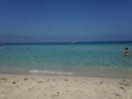 IMG_1251.jpeg