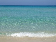IMG_1284.jpeg