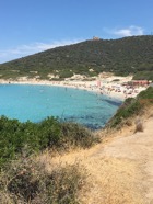 IMG_2518.jpeg