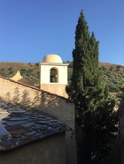 IMG_2540.jpeg