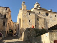 IMG_2549.jpeg