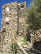 IMG_2648.jpeg