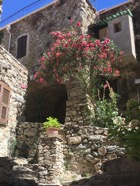 IMG_2649.jpeg
