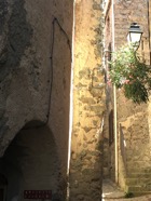 IMG_2651.jpeg