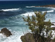 IMG_2683.jpeg