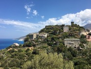IMG_2733.jpeg