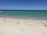IMG_0873.jpeg