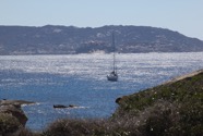 IMG_5815.jpeg