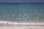IMG_5832.jpeg